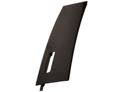 Ford FL3Z-1520555-SA Moulding - Door Outside