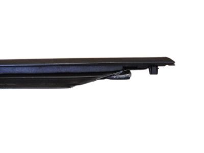 Ford 1F1Z-5421452-AA Weatherstrip Assembly - Door Window