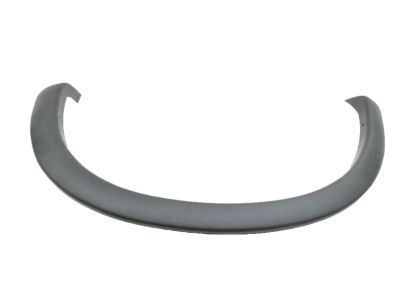 Ford 3L3Z-9929165-AAPTM Moulding