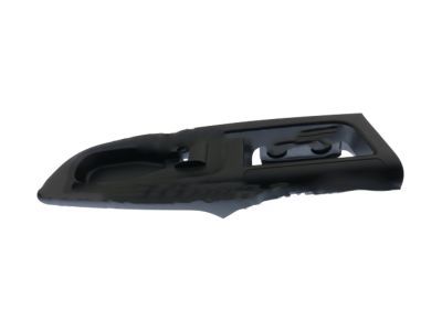 Ford DT1Z-14524-AA Applique - Door Trim Panel