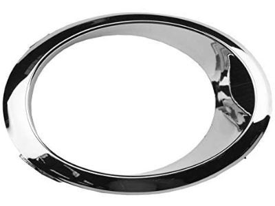 Ford DS7Z-17E810-AA Bracket - Fog Lamp