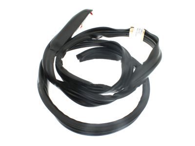 Ford 9L3Z-1651222-A Weatherstrip