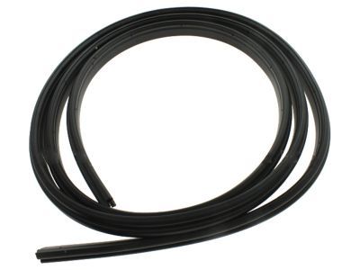 2006 Ford Expedition Weather Strip - 6L1Z-78404A06-A