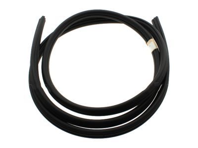 Lincoln Weather Strip - 7L3Z-1620708-A