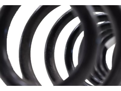 2005 Ford Mustang Coil Springs - 5R3Z-5560-C
