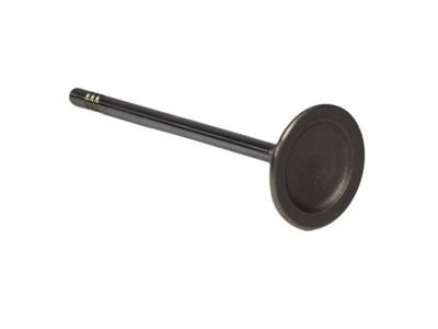 Ford F-150 Intake Valve - BR3Z-6507-A