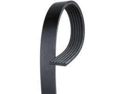 Ford Focus Drive Belt - 4M5Z-8620-AA