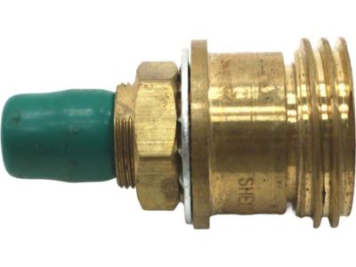 Ford E-250 Fuel Rail - F85Z-9D280-AAGF