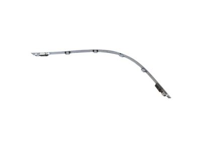 Ford 5G1Z-17C830-AAB Moulding - Bumper Bar