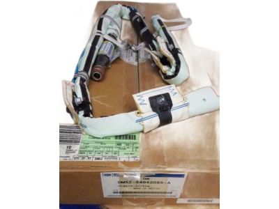 2015 Ford Focus Air Bag - DM5Z-54042D95-A