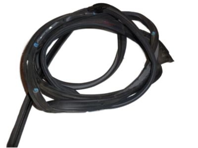 Lincoln Zephyr Door Seal - 6E5Z-5425325-AA