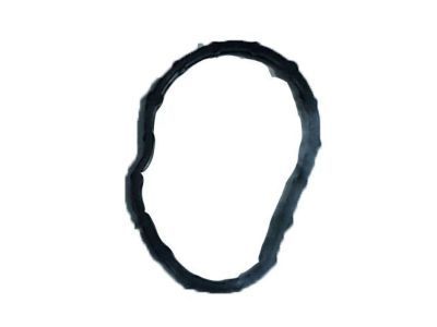 Ford Mustang Thermostat Gasket - BR3Z-8255-B