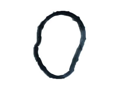 Lincoln Thermostat Gasket - BR3Z-8255-B