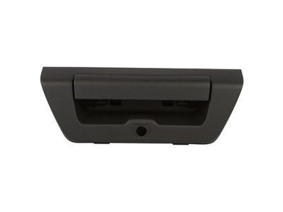 Ford F-150 Door Handle - FL3Z-9943400-AA