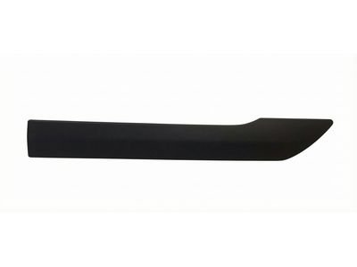 Ford Transit Connect Door Moldings - DT1Z-6120879-BB