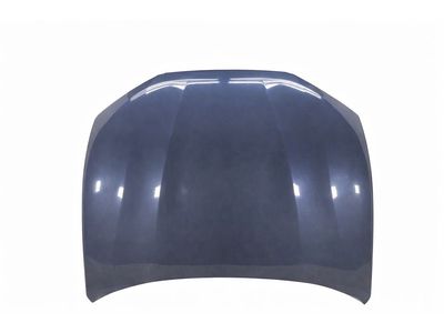 Ford Mustang Mach-E Hood - LJ8Z-16612-A