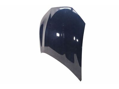Ford Mustang Mach-E Hood - LJ8Z-16612-A