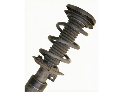 2023 Ford Escape Coil Springs - LX6Z-5310-BB