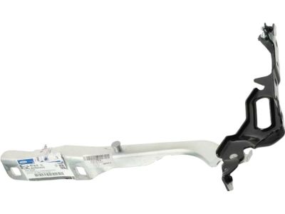 Ford F-350 Super Duty Hood Hinge - HC3Z-16796-A