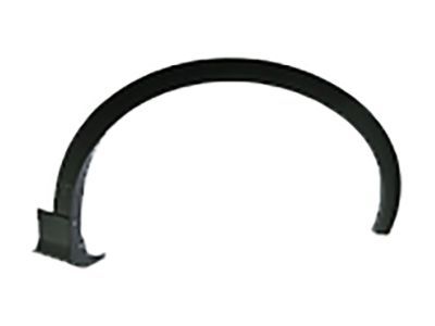 Ford CJ5Z-16268-AC Moulding