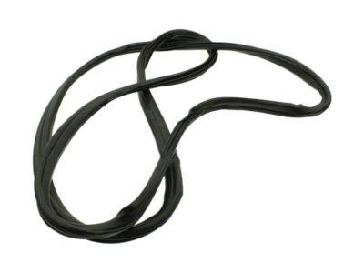 2022 Ford E-Transit Weather Strip - CK4Z-6120708-B