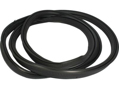 AE9Z-74404A06-A Ford Weatherstrip Product Photo 2 of 2