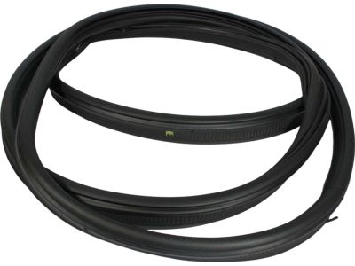 AE9Z-74404A06-A Ford Weatherstrip Product Photo 1 of 2