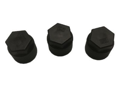Ford A/C Service Cap - F4XY-19D702-A