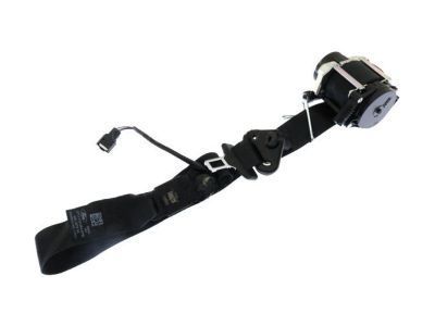 Ford DT1Z-17611B08-AA Connect Passenger Side Seat Belt