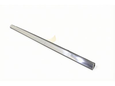 LC5Z-7821452-A Ford Door Belt Weatherstrip Product Photo 3 of 4