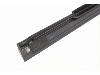 LC5Z-7821452-A Ford Door Belt Weatherstrip Product Photo 4 of 4