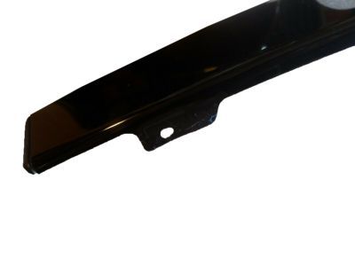 Ford 2L1Z-7820983-AAA Moulding - Door Outside