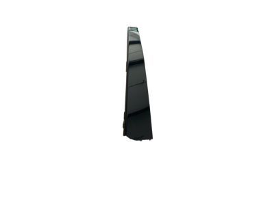 Ford 2L1Z-7820983-AAA Moulding - Door Outside