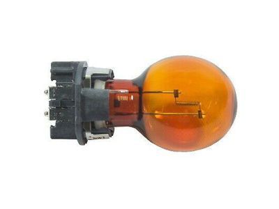 Ford DS7Z-13466-A Bulb And Socket Assembly