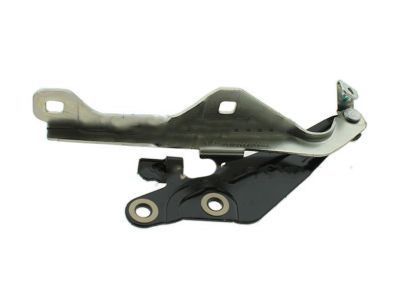 Ford FR3Z-16796-C Hinge Assembly - Hood