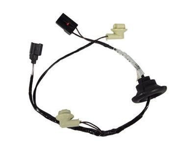 Ford 2L1Z-13412-AA Socket And Wire Assembly - Lamp