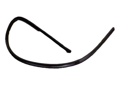 2001 Mercury Grand Marquis Door Moldings - F7AZ-5420891-AAA