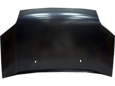 7T1Z-16612-A Ford Hood Assembly Product Photo 1 of 1