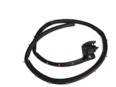 Ford 7R3Z-6320531-A Weatherstrip Assy - Door Window