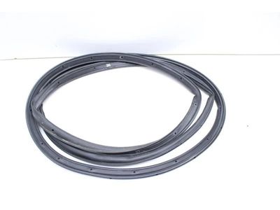 Ford Bronco Sport Weather Strip - M1PZ-7820531-A