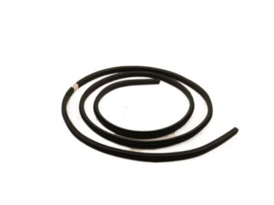 Ford BL3Z-1820708-B Weatherstrip Assembly - Door Opening