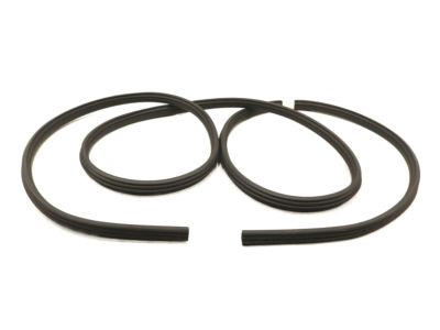 Ford BL3Z-1820708-B Door Opening Weatherstrip Assembly BL3Z-1820708-B Ford Door Opening Weatherstrip Assembly Product Photo 1 of 4