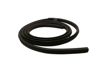 BL3Z-1820708-B Ford Door Opening Weatherstrip Assembly Product Photo 2 of 4