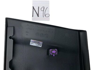 2004 Ford Expedition Door Moldings - 3L1Z-7820879-APTM