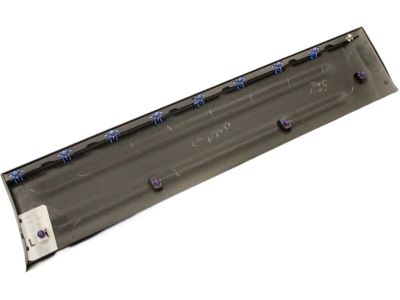 2004 Ford Expedition Door Moldings - 3L1Z-7820879-APTM