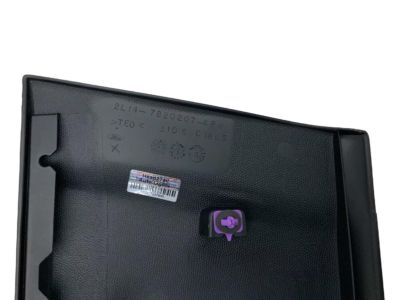 2004 Ford Expedition Door Moldings - 3L1Z-7820879-APTM