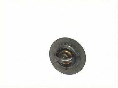 Ford F53 Stripped Chassis Thermostat - 7C3Z-8575-B