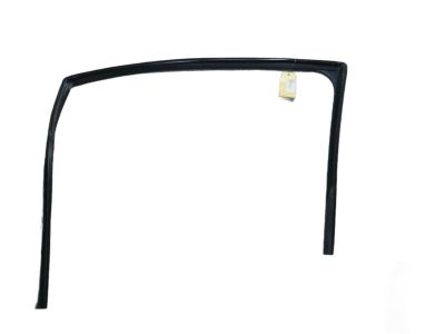 Ford Window Run - 9T4Z-7821596-B