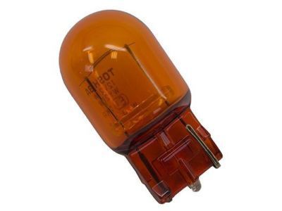 Ford DT1Z-13466-A Bulb And Socket Assembly