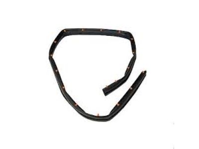 Ford Door Seal - FT4Z-5820759-B